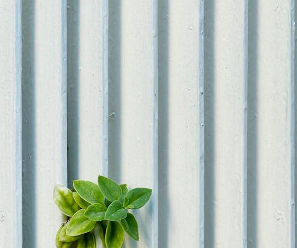 Abstract composition showing growth and vitality